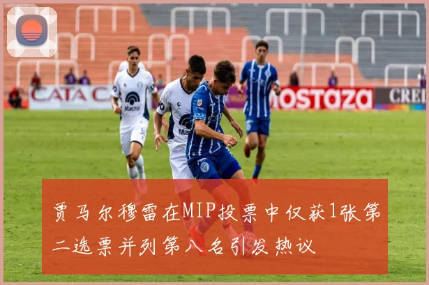贾马尔穆雷在MIP投票中仅获1张第二选票并列第八名引发热议