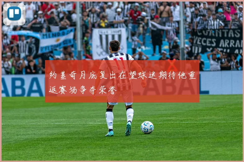 约基奇月底复出在望球迷期待他重返赛场争夺荣誉